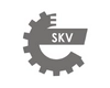 Silnik krokowy i regulacja biegu jałowego SKV GERMANY
